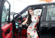 卖车销售小姐姐襄阳有吗,襄阳地区卖车销售小姐姐风采展示